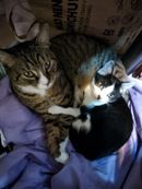 Kristyán a Motorka.jpg